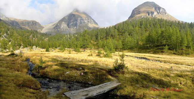 alpe veglia images common thumb medium650 0