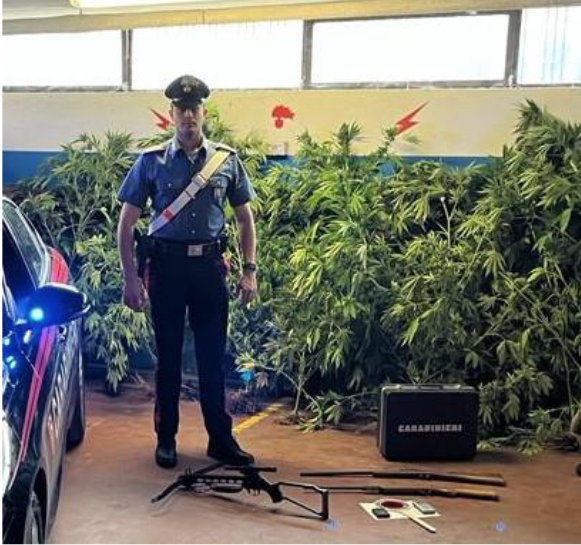 Schermata 2022 09 29 alle 16.41.28