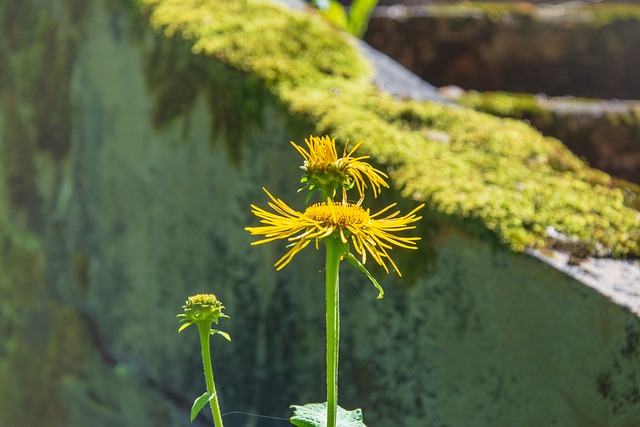 abstract 4471062 640