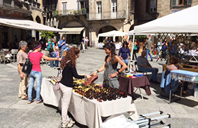 corto fiera piazza