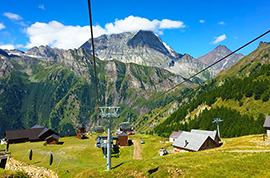 b ciamporino estate seggiova leone