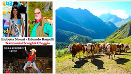 b raspelli cheggio 16 locandina