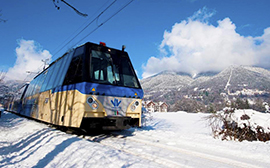 b vigezzina treno Paesaggio innevato
