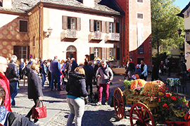 b fuori zucca 16 maggiore