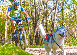 b cani cross Folini gara gattinara1