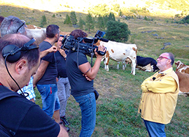 b raspelli mucche antrona tv