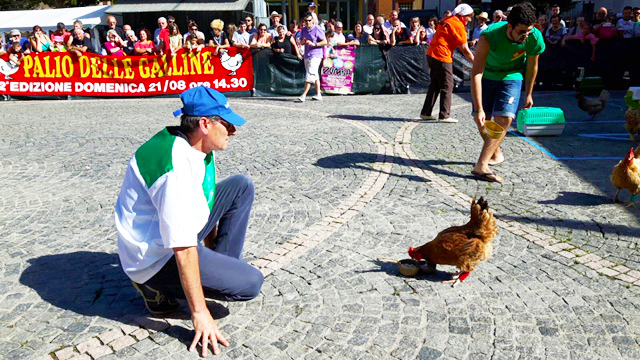 palio galline villa 16