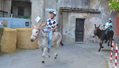 premosello palio asino