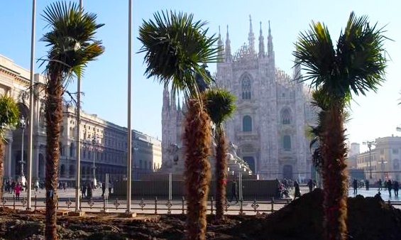 palme duomo milano