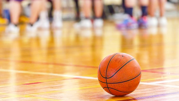 palla basket