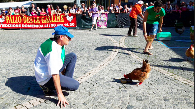 palio galline 17 villa 1