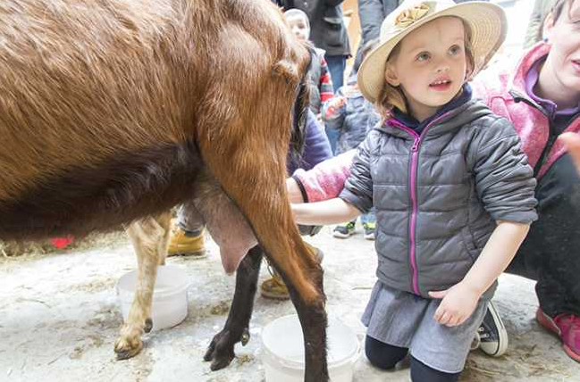 Schermata 2018 03 24 alle 11.13.08