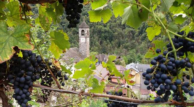 Schermata 2019 03 18 alle 10.33.06