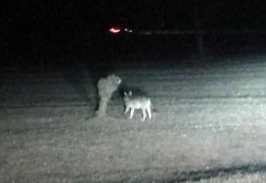 50299945 10217952842603122 8775840219887828992 n