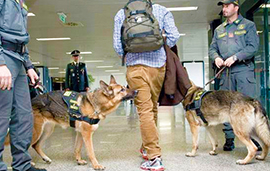 b cinofila antidroga cani finanza