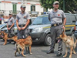 b finanza unita cinofile cani