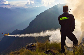 b forestale canadair