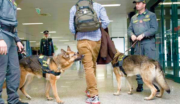 cinofila antidroga cani finanza