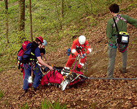 corta soccorso barella bosco cani