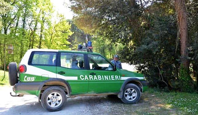 forestale jeep agente