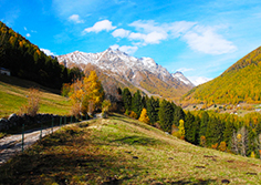 corta Val Grande