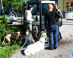 corta soccorso cani