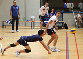 corta volley tuffo bistrot