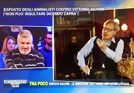 corta sgarbi tv capre