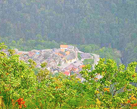 corta viganella alto