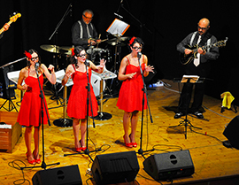 corta blue dolls lions