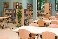 corta biblioteca contini domo