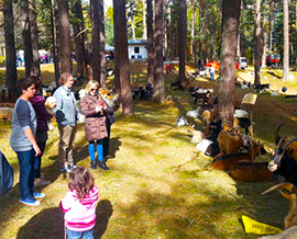 corta capre trasquera sunei