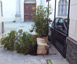 corta vasi sciolla vandali