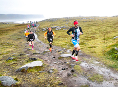 corta costanzo iceland paesaggio