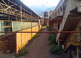 corta ex sisma