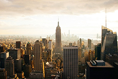 corta new york