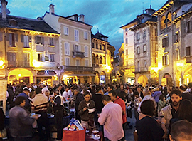 b 1 tastem insema 2015